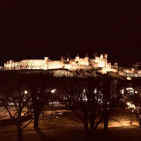Vue Cite Medievale